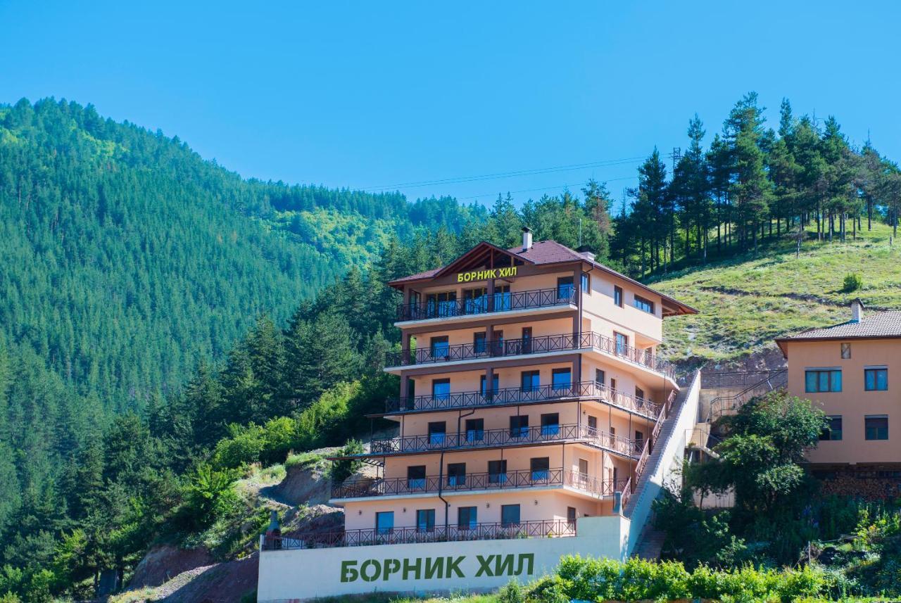 Борник Хил / Bornik Hill Devin Exterior photo